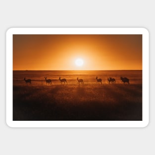Safari Sunset Sticker